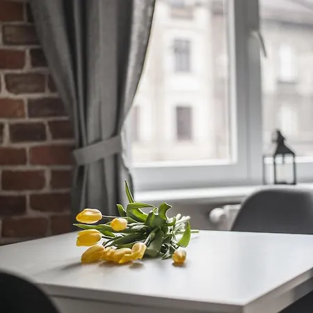 Apartmán Vistula Krakov